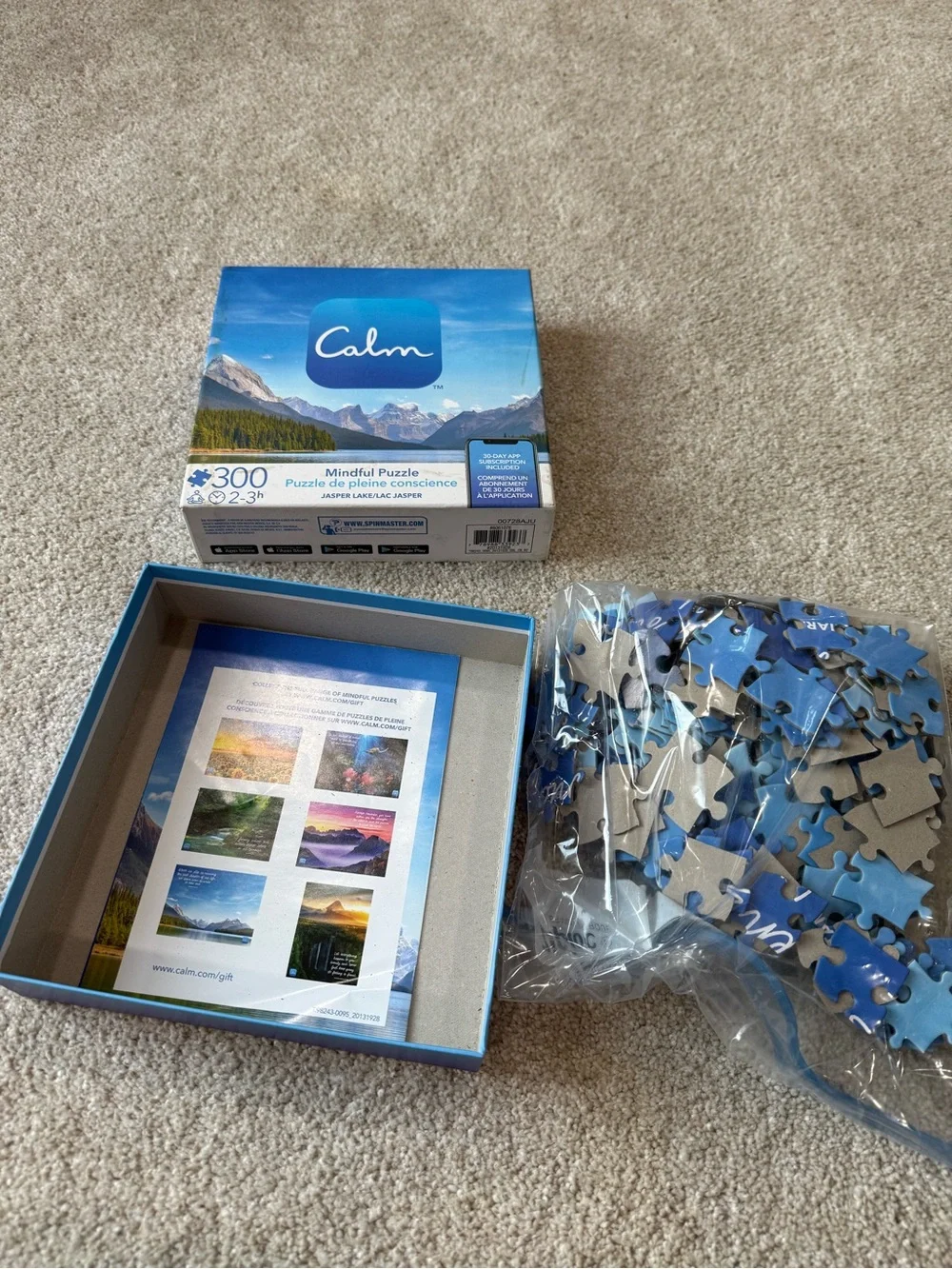Jasper Lake 300-Piece Mindful Wall Puzzle - Blue